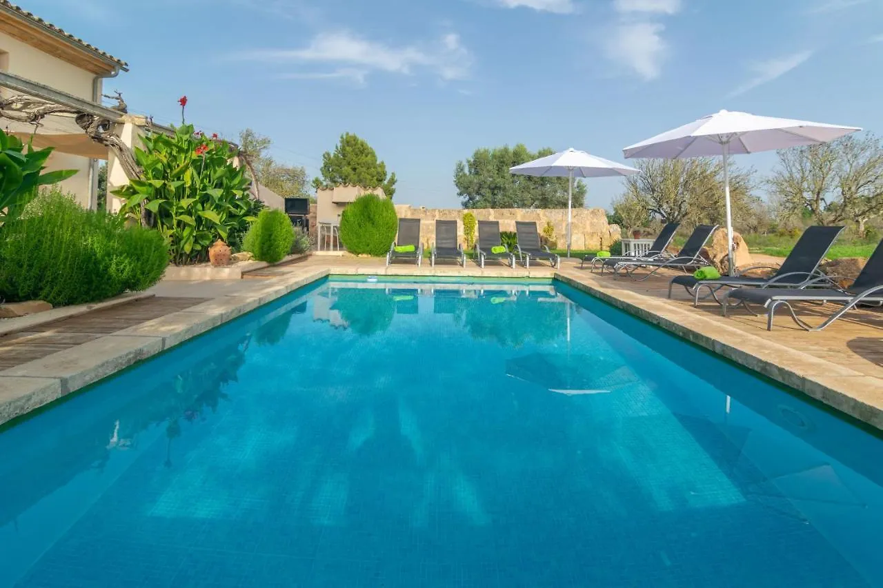 Villa Son Indiot Algaida