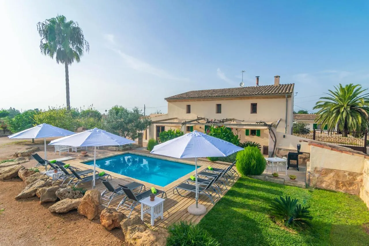 Villa Son Indiot Algaida