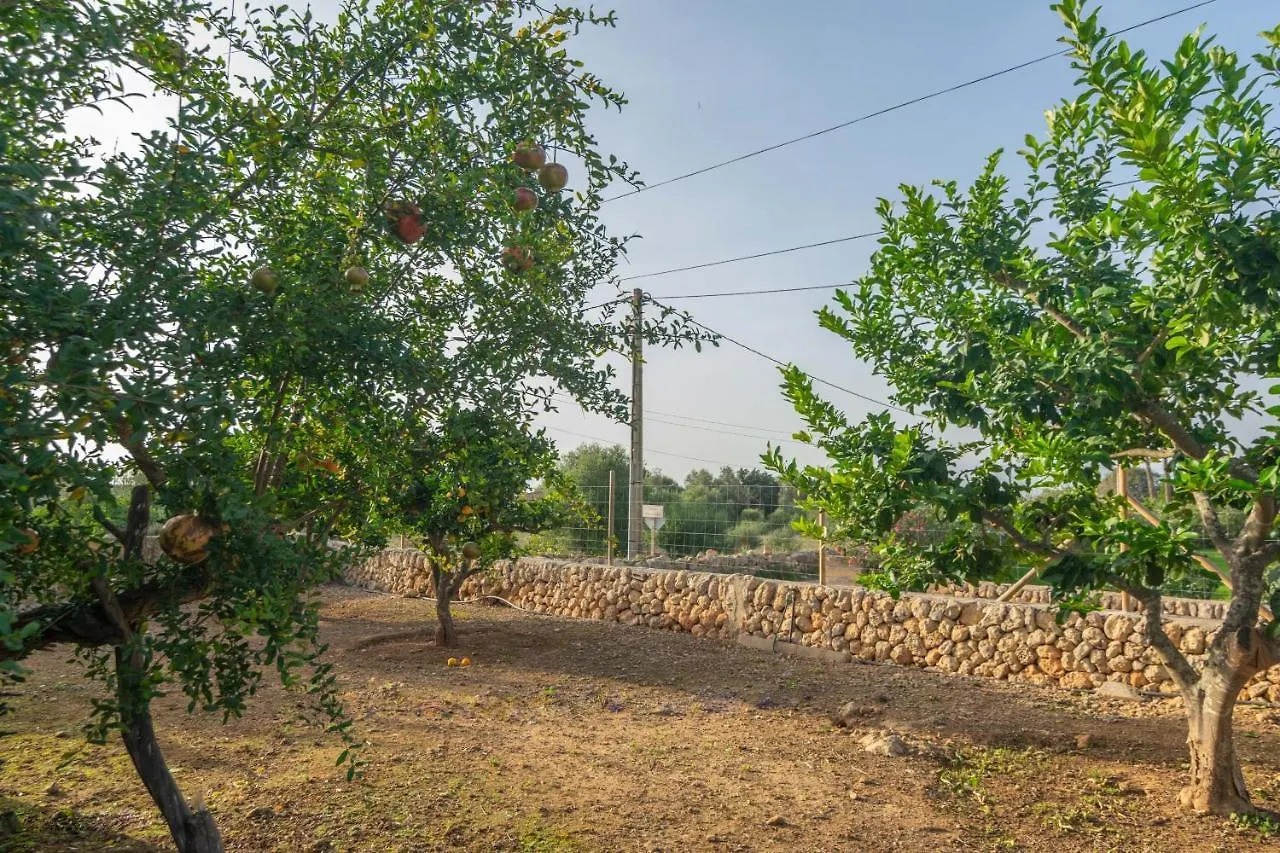 Villa Son Indiot Algaida  Algaida (Mallorca)