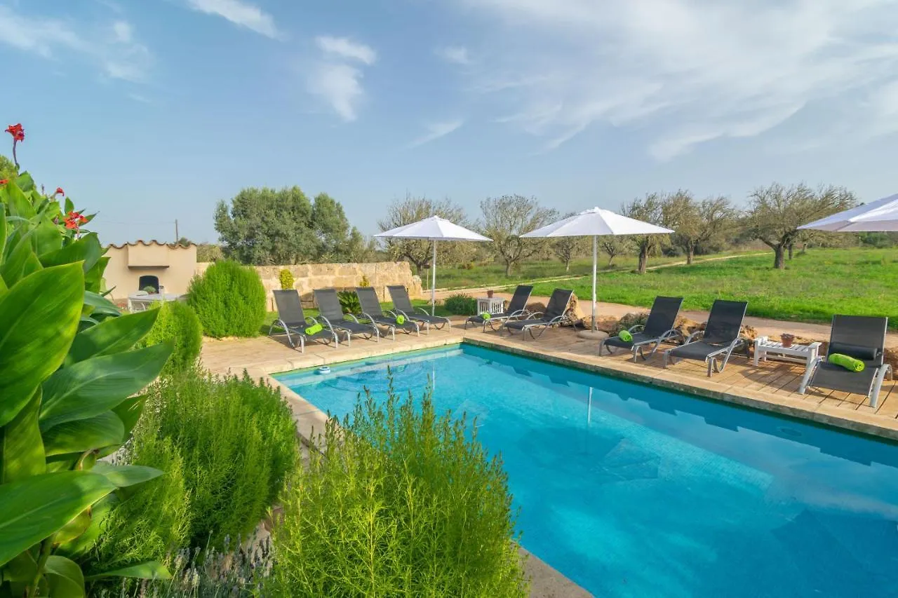 Villa Son Indiot Algaida