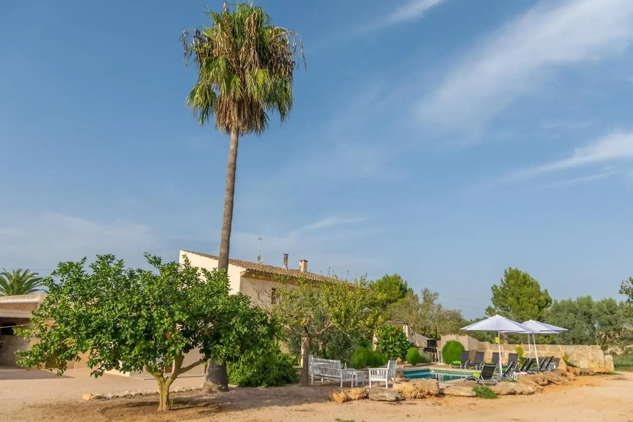 Villa Son Indiot Algaida