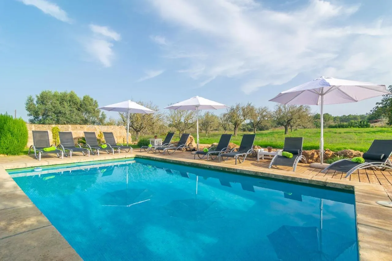 Villa Son Indiot Algaida