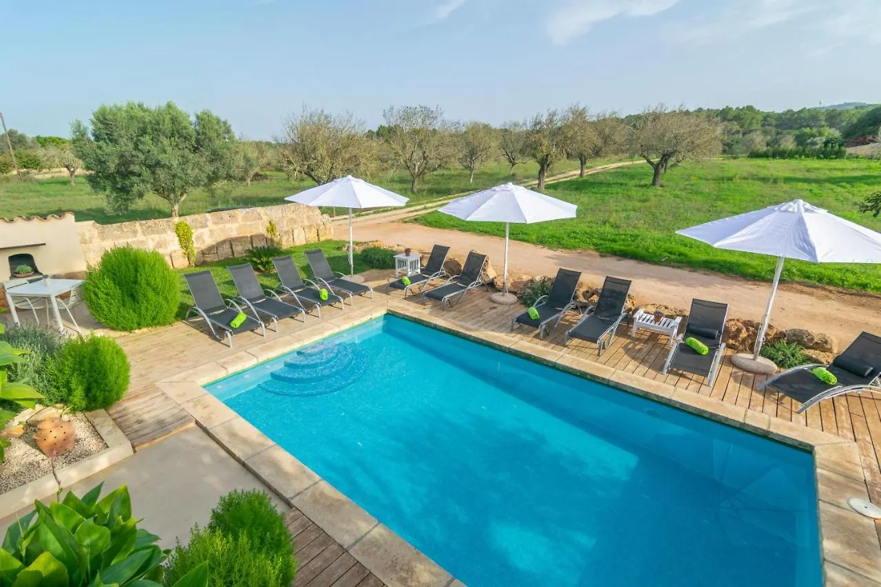 Villa Son Indiot Algaida